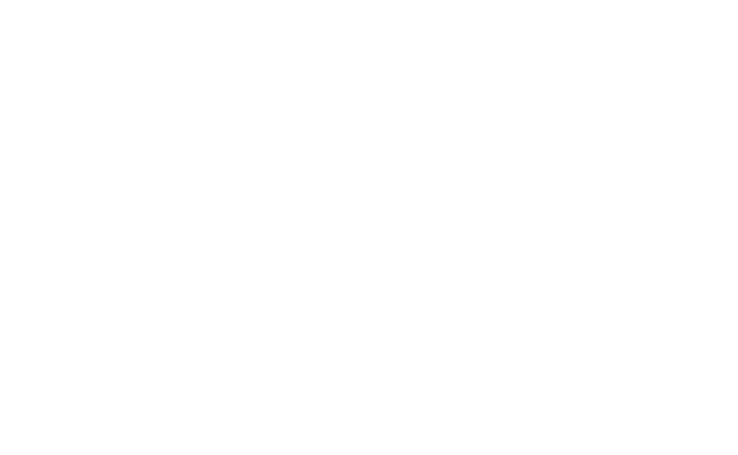 Portfólio